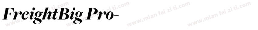 FreightBig Pro字体转换